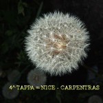 1-.4-TAPPA-NIZZA-CARPENTRAS
