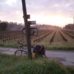 12--Vigneti-in-Aux-de-Prove