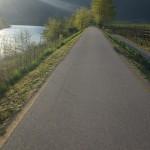 19. Riprendo la ciclabile che in questa zona è molto più movimentata