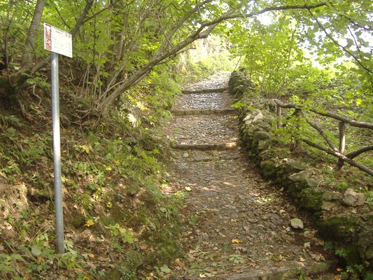 26.Il percorso si presenta complessivamente non impegnativo ed agibile per chiunque