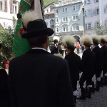 29.. alzano le piume e puntano..