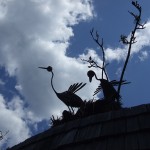 37…la fame e la stanchezza infatti mi fan vedere cose strane