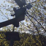 40. il vento divertito continua a soffiarmi contro