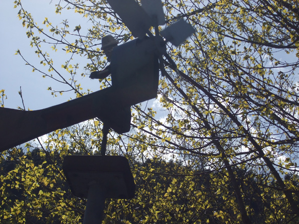 40. il vento divertito continua a soffiarmi contro