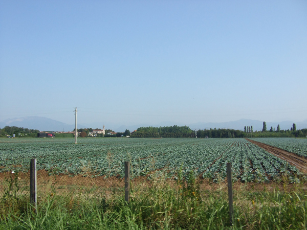 43.-Levate-Santuario