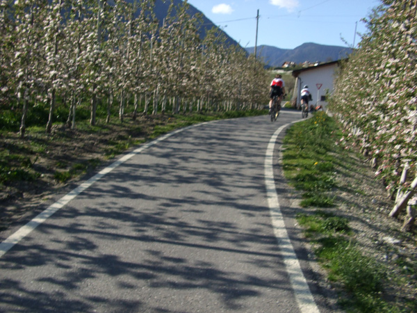 45… ma sono cotto e li perdo subito