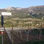 5. Pedalando lungo la ciclabile