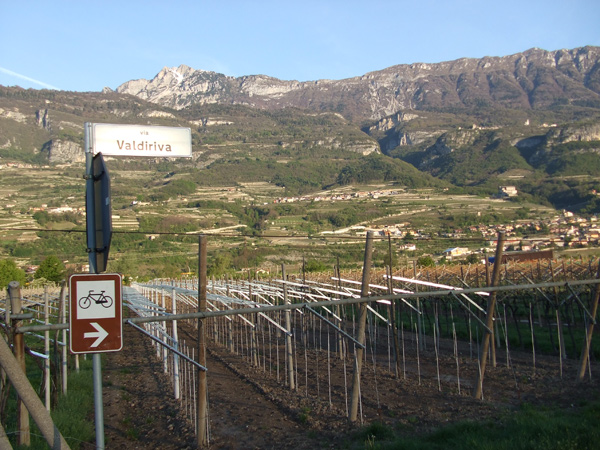 5. Pedalando lungo la ciclabile