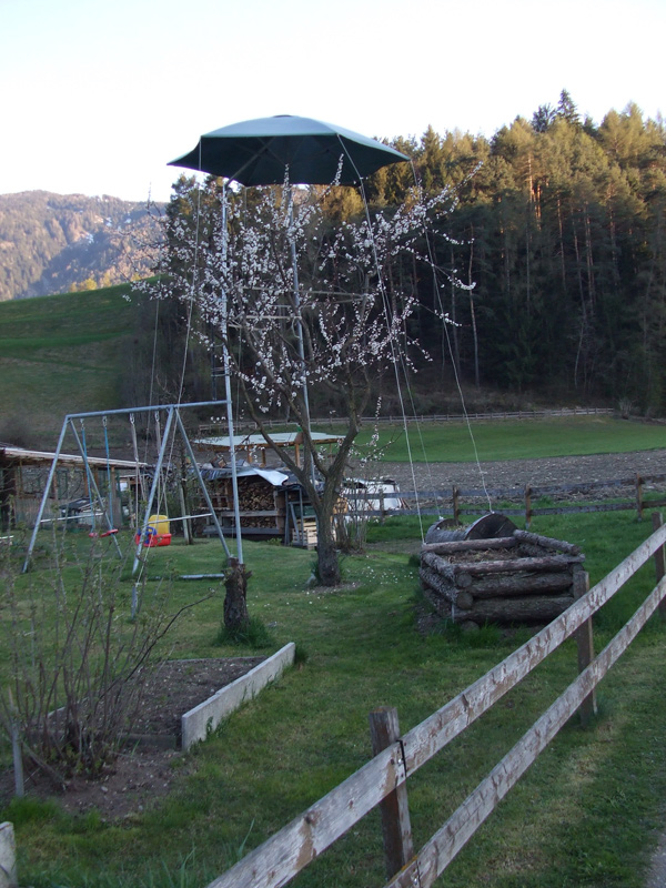 50. Qui oltre  il culto della natura  “curano” il dettaglio .