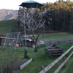 50. Qui oltre il culto della natura “curano” il dettaglio .