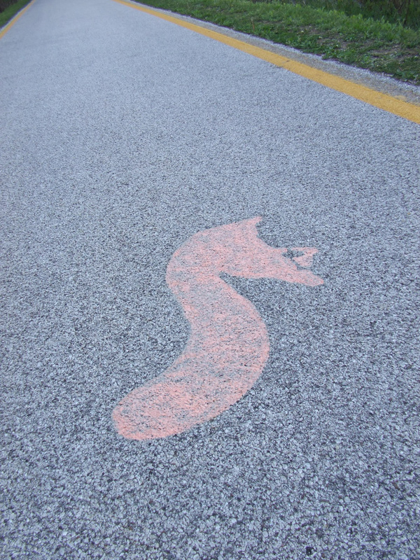 7. Il  logo della pista ciclabile è un cavalluccio marino()