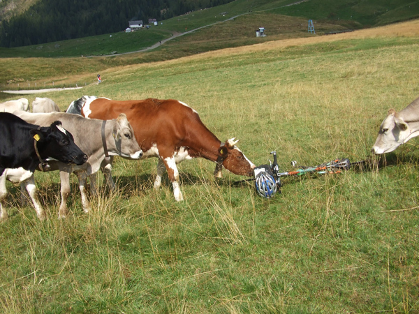 7.Piani-dell’Avaro