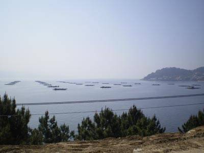 369.economia locla e