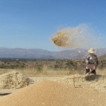 IMG_4368..la campagna