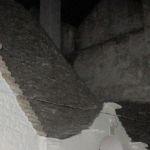 IMG_8010